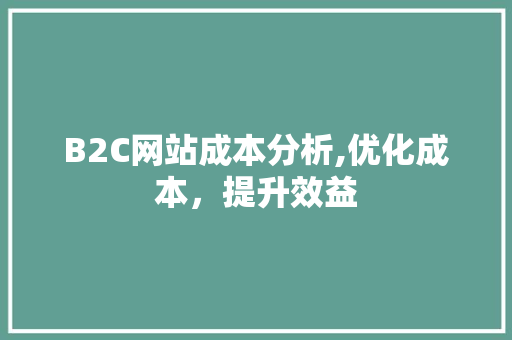 B2C网站成本分析,优化成本，提升效益 B2C网站成本分析,优化成本，提升效益 必应SEO