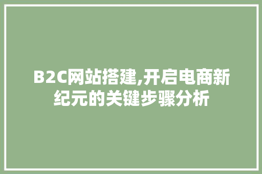 B2C网站搭建,开启电商新纪元的关键步骤分析 B2C网站搭建,开启电商新纪元的关键步骤分析 必应SEO
