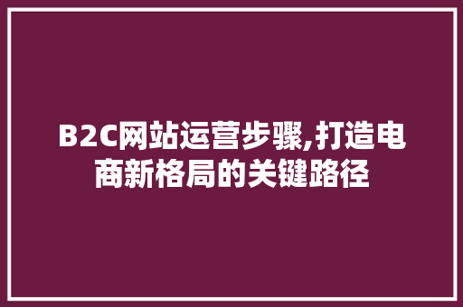 B2C网站运营步骤,打造电商新格局的关键路径 B2C网站运营步骤,打造电商新格局的关键路径 百度SEO