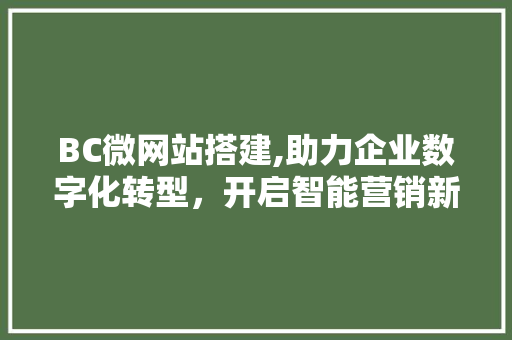 BC微网站搭建,助力企业数字化转型，开启智能营销新时代 BC微网站搭建,助力企业数字化转型，开启智能营销新时代 神马SEO