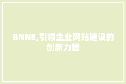 BNNE,引领企业网站建设的创新力量
