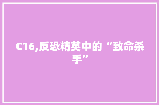 C16,反恐精英中的“致命杀手” C16,反恐精英中的“致命杀手” 百度SEO