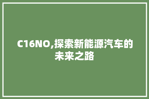 C16NO,探索新能源汽车的未来之路 C16NO,探索新能源汽车的未来之路 神马SEO