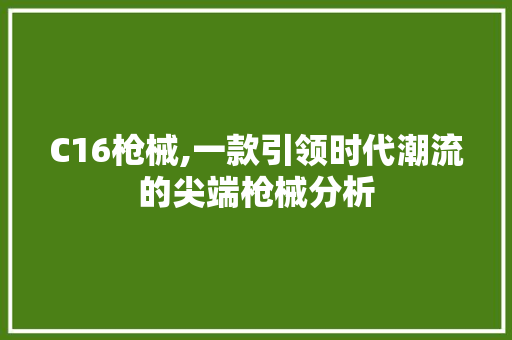 C16枪械,一款引领时代潮流的尖端枪械分析