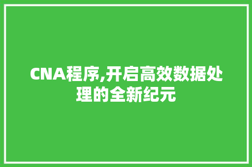 CNA程序,开启高效数据处理的全新纪元