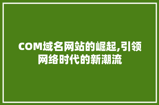COM域名网站的崛起,引领网络时代的新潮流 COM域名网站的崛起,引领网络时代的新潮流 神马SEO