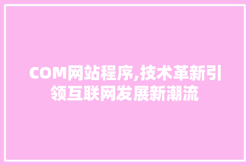 COM网站程序,技术革新引领互联网发展新潮流