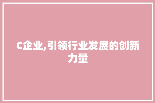 C企业,引领行业发展的创新力量 C企业,引领行业发展的创新力量 百度SEO
