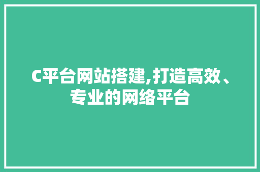 C平台网站搭建,打造高效、专业的网络平台 C平台网站搭建,打造高效、专业的网络平台 神马SEO