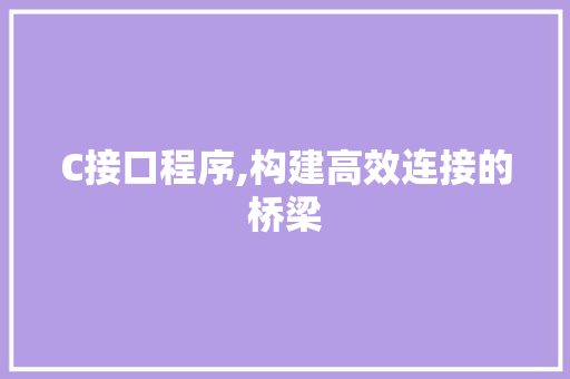 C接口程序,构建高效连接的桥梁 C接口程序,构建高效连接的桥梁 必应SEO