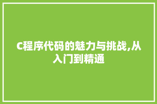 C程序代码的魅力与挑战,从入门到精通 C程序代码的魅力与挑战,从入门到精通 神马SEO