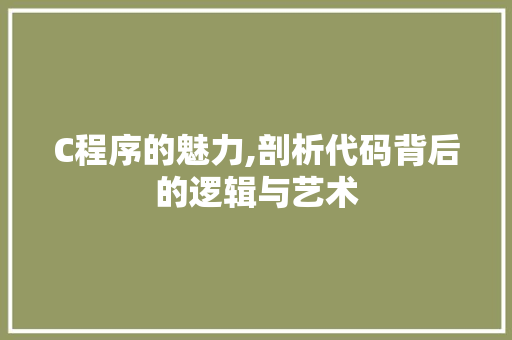 C程序的魅力,剖析代码背后的逻辑与艺术