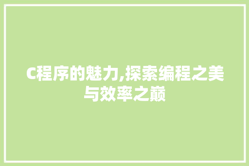 C程序的魅力,探索编程之美与效率之巅 C程序的魅力,探索编程之美与效率之巅 网站建设公司