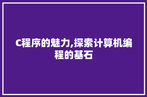 C程序的魅力,探索计算机编程的基石 C程序的魅力,探索计算机编程的基石 百度SEO
