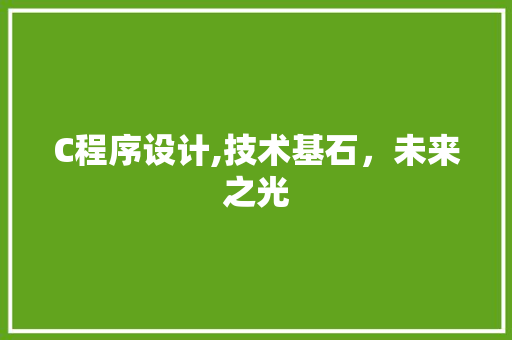 C程序设计,技术基石，未来之光 C程序设计,技术基石，未来之光 百度SEO