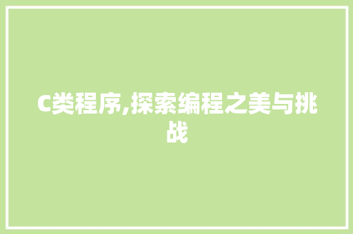 C类程序,探索编程之美与挑战
