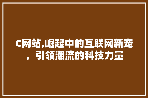 C网站,崛起中的互联网新宠，引领潮流的科技力量 C网站,崛起中的互联网新宠，引领潮流的科技力量 必应SEO