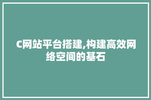 C网站平台搭建,构建高效网络空间的基石 C网站平台搭建,构建高效网络空间的基石 SEO关键词
