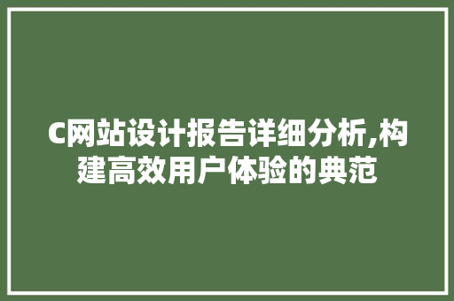 C网站设计报告详细分析,构建高效用户体验的典范 C网站设计报告详细分析,构建高效用户体验的典范 神马SEO