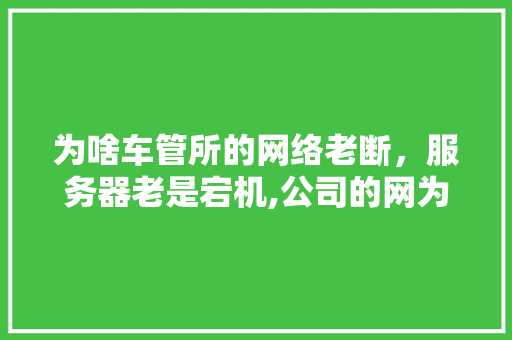为啥车管所的网络老断，服务器老是宕机,公司的网为什么总是断网。