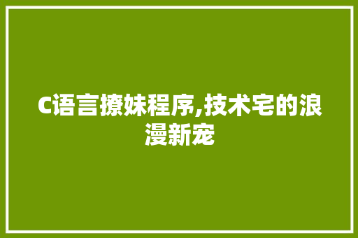 C语言撩妹程序,技术宅的浪漫新宠