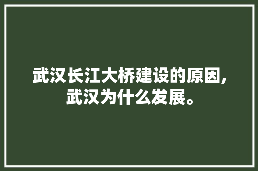 武汉长江大桥建设的原因,武汉为什么发展。 武汉长江大桥建设的原因,武汉为什么发展。 搜狗SEO