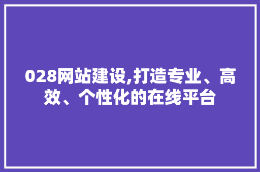028网站建设,打造专业、高效、个性化的在线平台