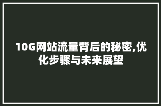 10G网站流量背后的秘密,优化步骤与未来展望 10G网站流量背后的秘密,优化步骤与未来展望 必应SEO