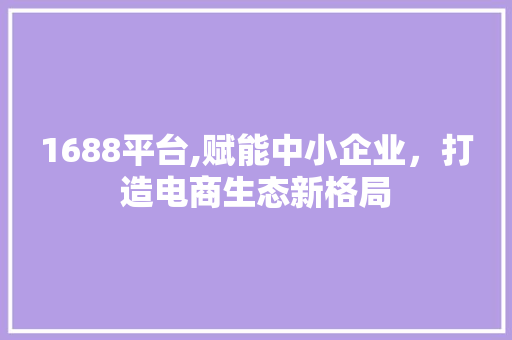 1688平台,赋能中小企业，打造电商生态新格局