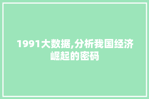 1991大数据,分析我国经济崛起的密码