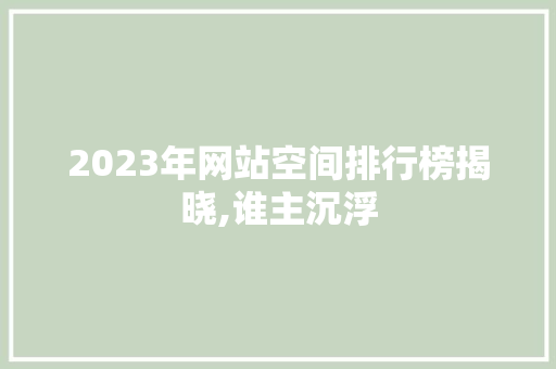 2023年网站空间排行榜揭晓,谁主沉浮