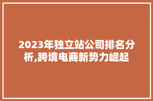 2023年独立站公司排名分析,跨境电商新势力崛起 2023年独立站公司排名分析,跨境电商新势力崛起 必应SEO