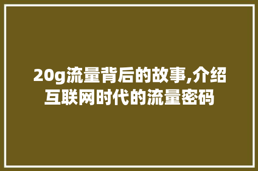 20g流量背后的故事,介绍互联网时代的流量密码 20g流量背后的故事,介绍互联网时代的流量密码 搜狗SEO