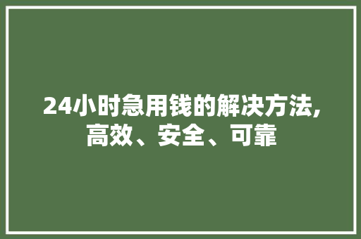 24小时急用钱的解决方法,高效、安全、可靠 24小时急用钱的解决方法,高效、安全、可靠 SEO关键词