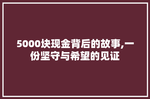 5000块现金背后的故事,一份坚守与希望的见证 5000块现金背后的故事,一份坚守与希望的见证 必应SEO