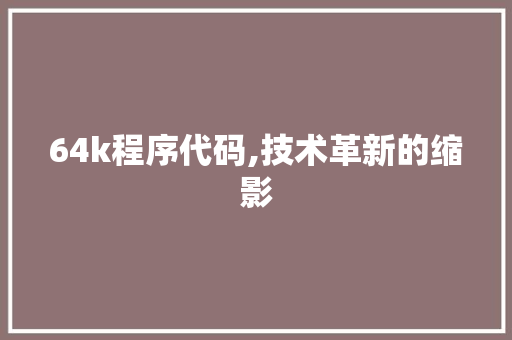 64k程序代码,技术革新的缩影 64k程序代码,技术革新的缩影 必应SEO