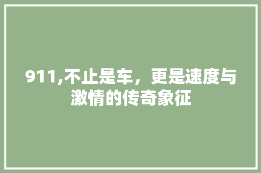 911,不止是车，更是速度与激情的传奇象征 911,不止是车，更是速度与激情的传奇象征 网站建设公司