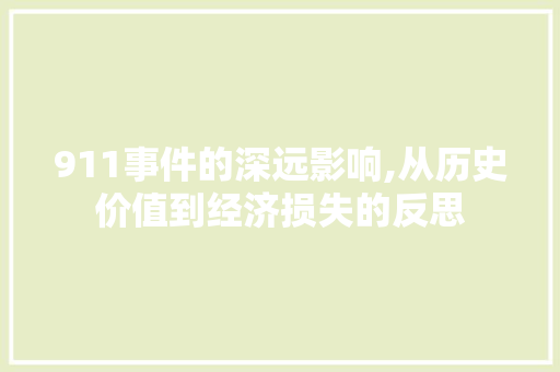 911事件的深远影响,从历史价值到经济损失的反思