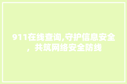 911在线查询,守护信息安全，共筑网络安全防线
