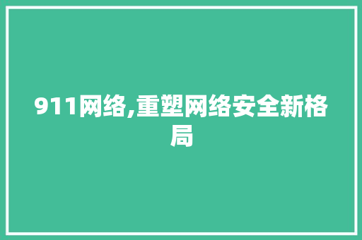 911网络,重塑网络安全新格局 911网络,重塑网络安全新格局 搜狗SEO