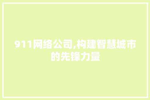 911网络公司,构建智慧城市的先锋力量 911网络公司,构建智慧城市的先锋力量 必应SEO