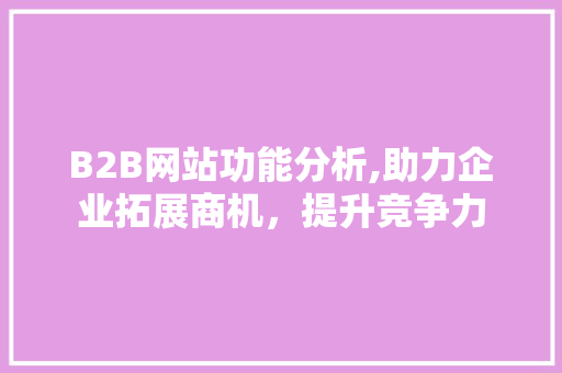 B2B网站功能分析,助力企业拓展商机，提升竞争力 B2B网站功能分析,助力企业拓展商机，提升竞争力 百度SEO