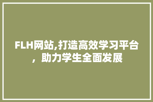 FLH网站,打造高效学习平台，助力学生全面发展 必应SEO