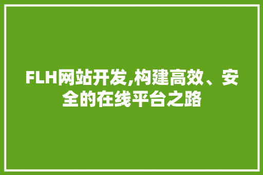 FLH网站开发,构建高效、安全的在线平台之路 FLH网站开发,构建高效、安全的在线平台之路 必应SEO