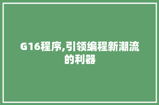 G16程序,引领编程新潮流的利器 G16程序,引领编程新潮流的利器 网站建设公司