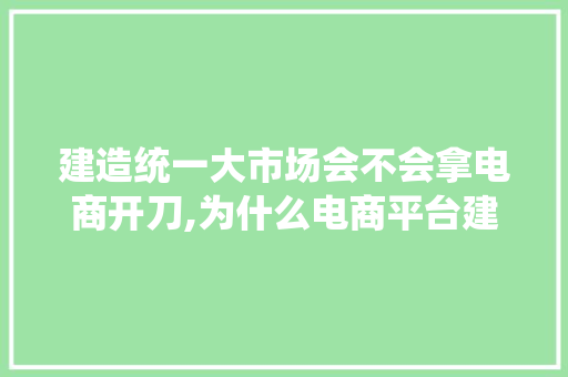 建造统一大市场会不会拿电商开刀,为什么电商平台建设缓慢会导致电商营销推广的缓慢。