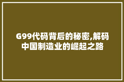 G99代码背后的秘密,解码中国制造业的崛起之路 G99代码背后的秘密,解码中国制造业的崛起之路 必应SEO