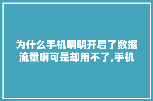 为什么手机明明开启了数据流量啊可是却用不了,手机为什么语法使用流量不能用。 为什么手机明明开启了数据流量啊可是却用不了,手机为什么语法使用流量不能用。 神马SEO