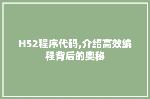 H52程序代码,介绍高效编程背后的奥秘