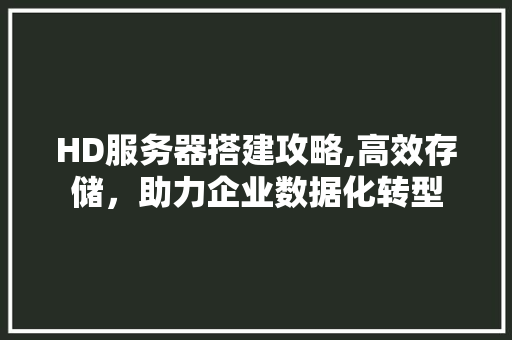 HD服务器搭建攻略,高效存储，助力企业数据化转型 HD服务器搭建攻略,高效存储，助力企业数据化转型 神马SEO
